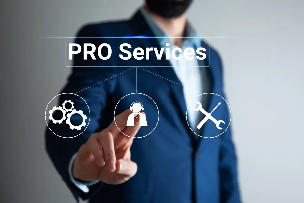 PRO SERVICES